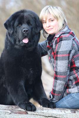 tibetan mastiff kennel